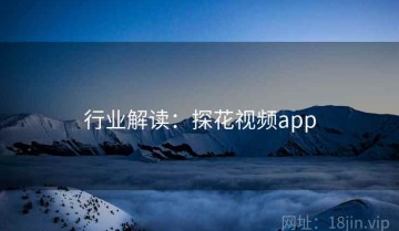 行业解读：探花视频app