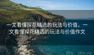 一文看懂探花精选的玩法与价值，一文看懂探花精选的玩法与价值作文