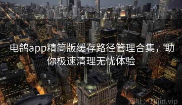 电鸽app精简版缓存路径管理合集，助你极速清理无忧体验
