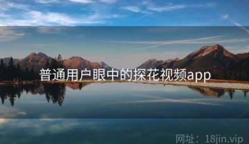 普通用户眼中的探花视频app