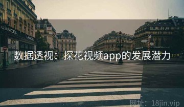 数据透视：探花视频app的发展潜力