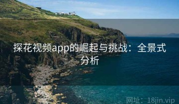 探花视频app的崛起与挑战：全景式分析