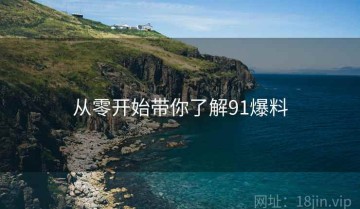 从零开始带你了解91爆料