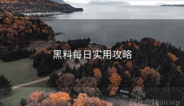 黑料每日实用攻略