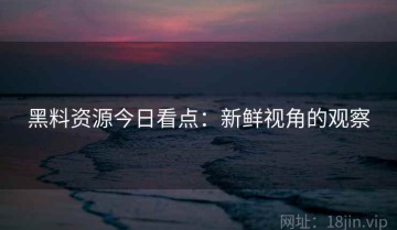 黑料资源今日看点：新鲜视角的观察