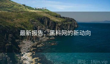 最新报告：黑料网的新动向