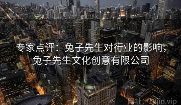 专家点评：兔子先生对行业的影响，兔子先生文化创意有限公司