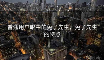 普通用户眼中的兔子先生，兔子先生的特点