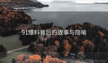 91爆料背后的故事与隐喻