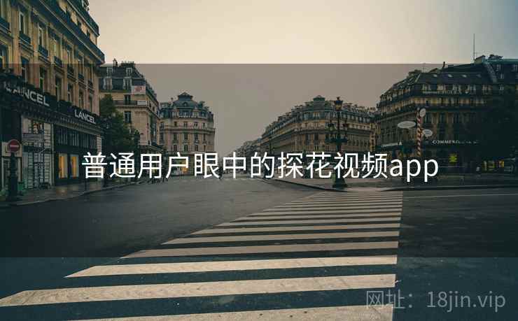 普通用户眼中的探花视频app