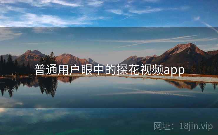 普通用户眼中的探花视频app