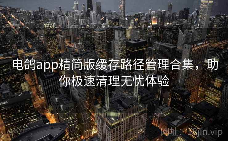 电鸽app精简版缓存路径管理合集，助你极速清理无忧体验