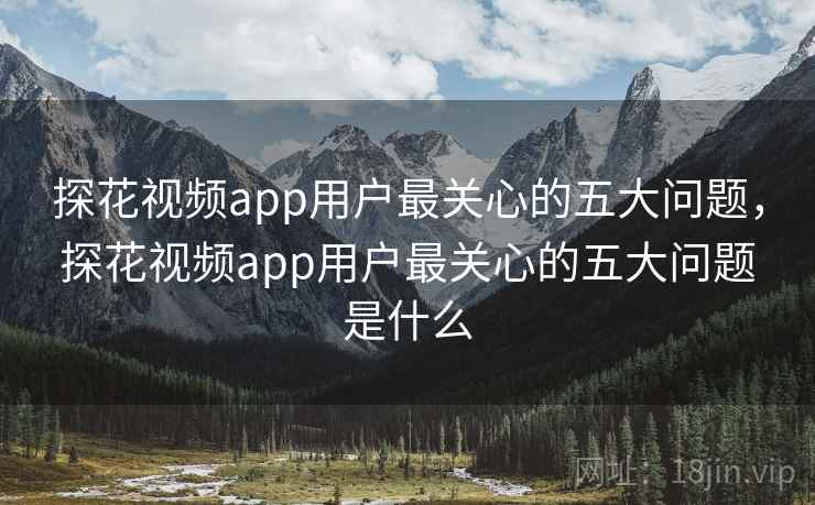 探花视频app用户最关心的五大问题，探花视频app用户最关心的五大问题是什么