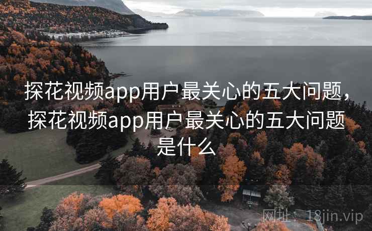 探花视频app用户最关心的五大问题，探花视频app用户最关心的五大问题是什么