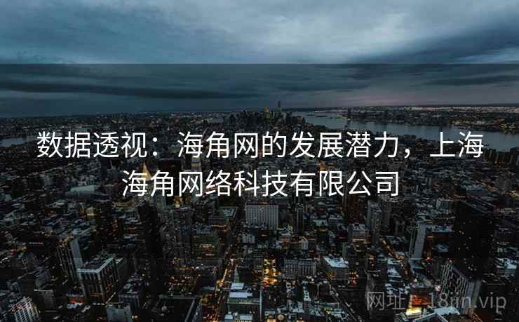 数据透视：海角网的发展潜力，上海海角网络科技有限公司