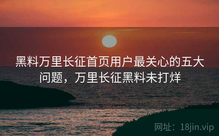 黑料万里长征首页用户最关心的五大问题，万里长征黑料未打烊