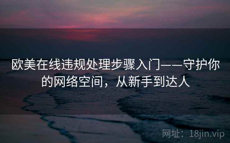 欧美在线违规处理步骤入门——守护你的网络空间，从新手到达人