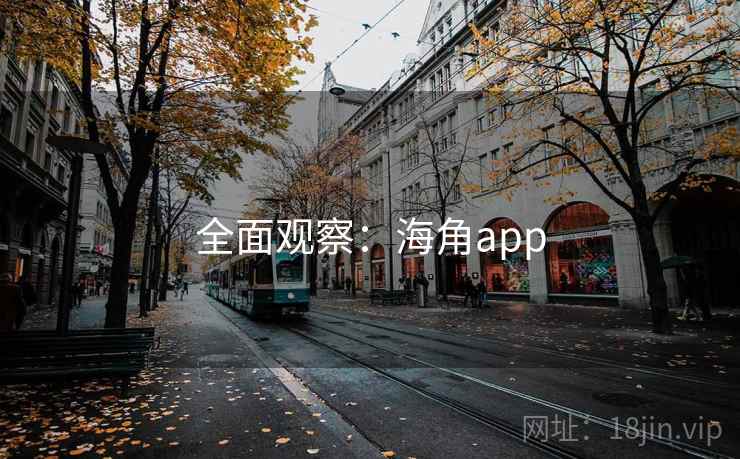 全面观察：海角app