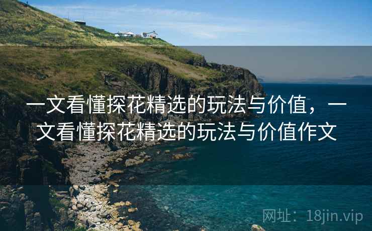 一文看懂探花精选的玩法与价值，一文看懂探花精选的玩法与价值作文